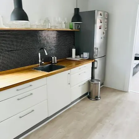 Lovely 1-bedroom In C 公寓 Århus